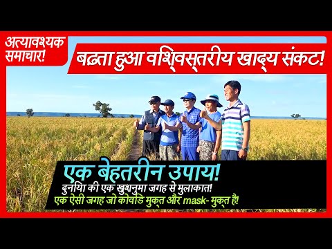 [Hindi 힌디어] बढ़ता हुआ विश्वस्तरीय खाद्य संकट! एक बेहतरीन उपाय! डोलनारा ओएससि! Doalnara Oasis Farm