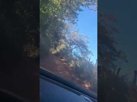 relembrando minha viagem ao lugar onde nasci.....Taquaral  de Goias.