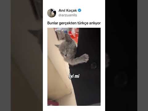Gerçkten çok tatlı