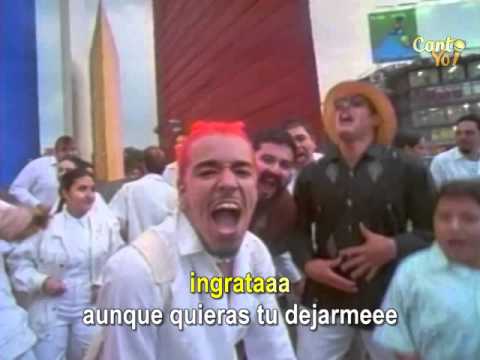 Café Tacvba - La Ingrata (Official CantoYo Video)
