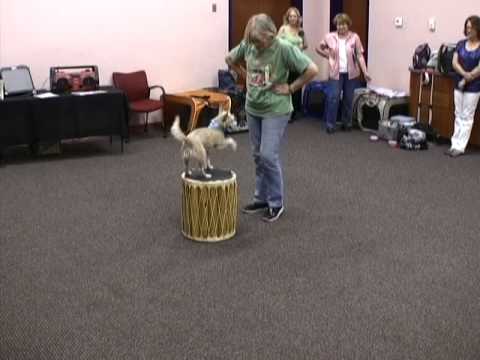 Vettel's Drum at YWCA demo