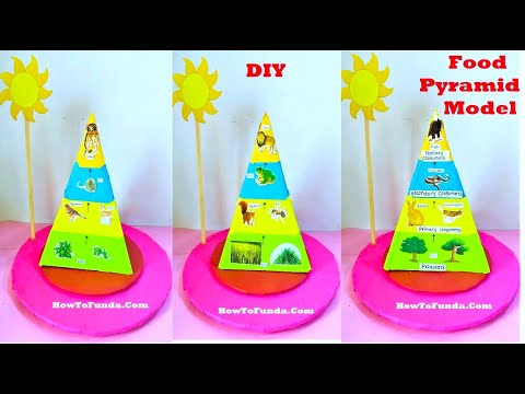 Food Pyramid Working Model 3d Making Science Project DIY HowToFunda