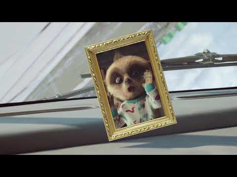 Compare the Market - Speed (2016, UK)