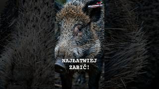 „NAJŁATWIEJ ZABIĆ.”