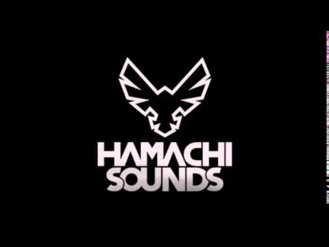 Shant & Clint Maximus - Levitate (Original Mix) Hamachi Sounds