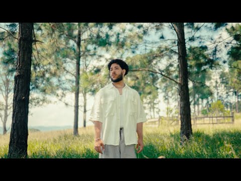 IVYSON - DETALHES (Visualizer)