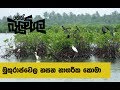 balumgala-02-06-2017
