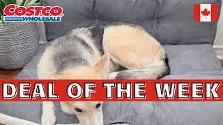 New Costco Haul | COSTCO CANADA Shopping