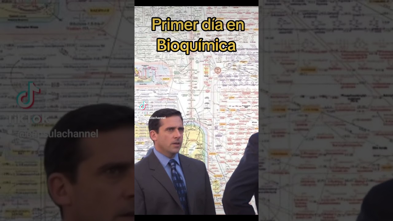 Las clases de Bioquímica