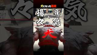 犬になってチヤホヤ？される葛葉【#newtown  13日目】【葛葉／叶／イブラヒム／釈迦／狂蘭メロコ／リモーネ先生／如月れん／飛良ひかり／切り抜き】