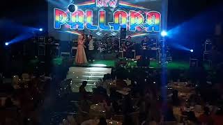 Download lagu New Pallapa - live pekalongan 2022(paguyuban cumi timur) mp3