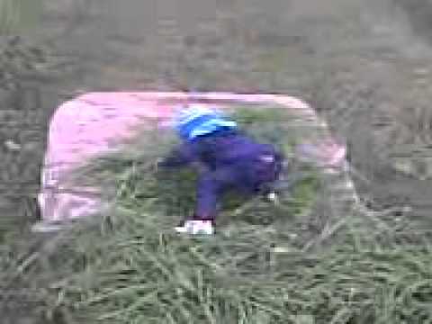 taranjot sahota marula work