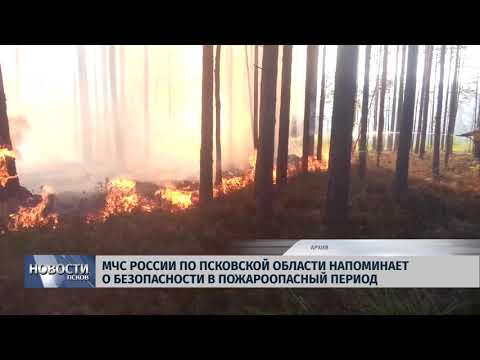 25.03.2019 / МЧС России по Псковской области напоминает о безопасности в пожароопасный период