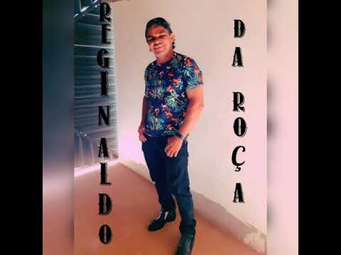 Reginaldo da roça ( vol 04 ) Chave do meu carro