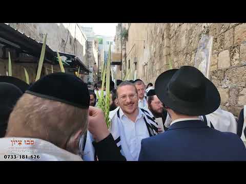 סיבוב שערים - הסרטות כלליות - סוכות תשפ"ז