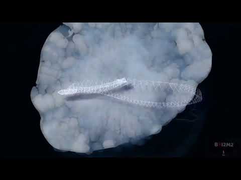 Siebzehn - Metaphore - Extended - HQ