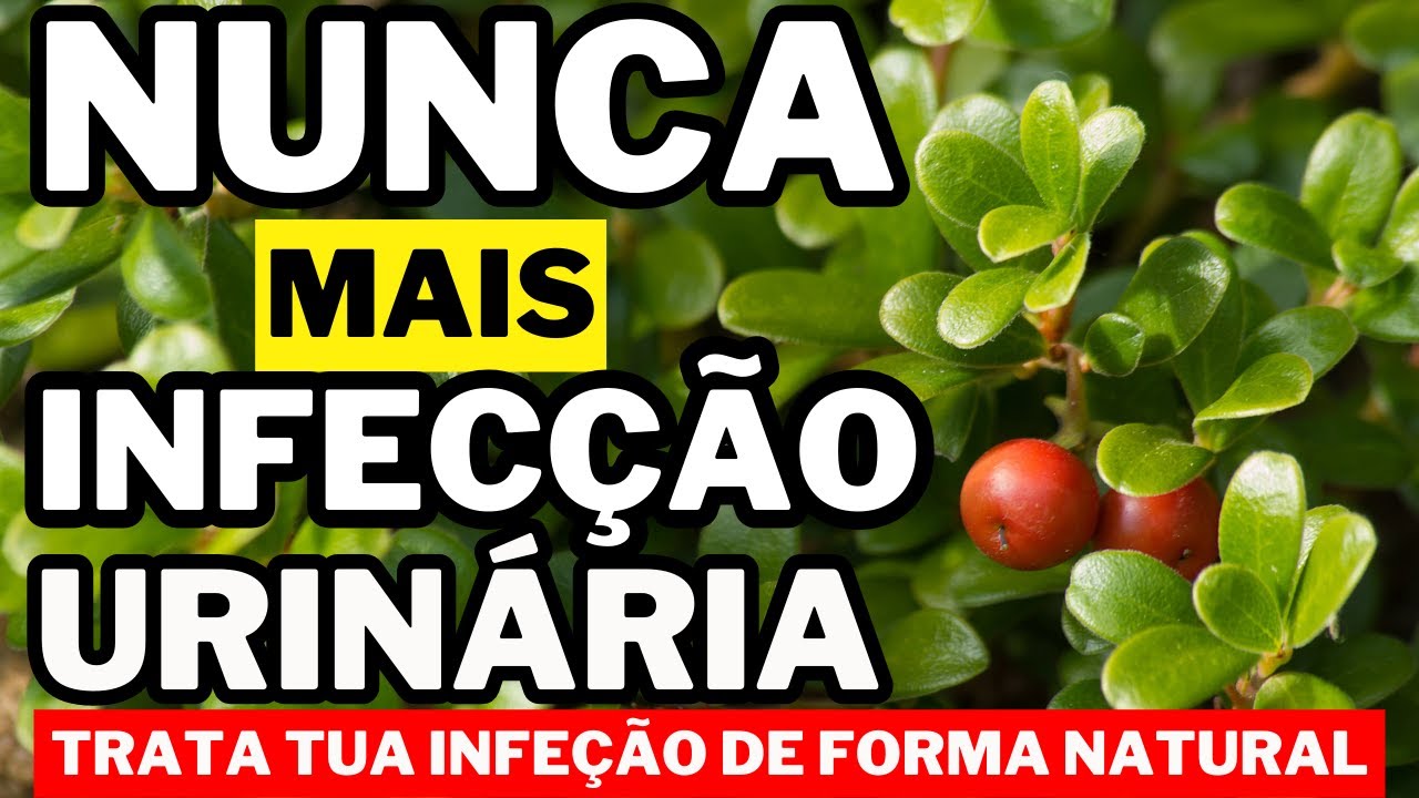 RECEITAS NATURAIS PARA CURAR INFECÇÃO URINÁRIA
