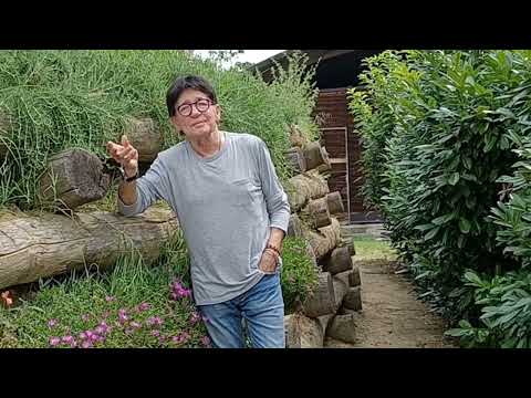 AL RANGONE - VIENI A VEDERE IL MIO PAESE