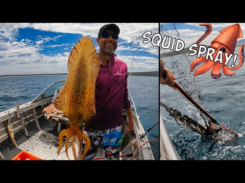 a giant squid inked my whole boat.