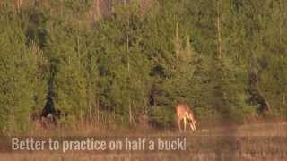 preview picture of video 'Bowhunting Season: Hunting Wisconsin White-tailed Deer (Part 2 of 3)'