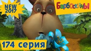 Барбоскины - 174 серия 💞 Генкина любовь 💞 Новая серия 2017 года! Премьера