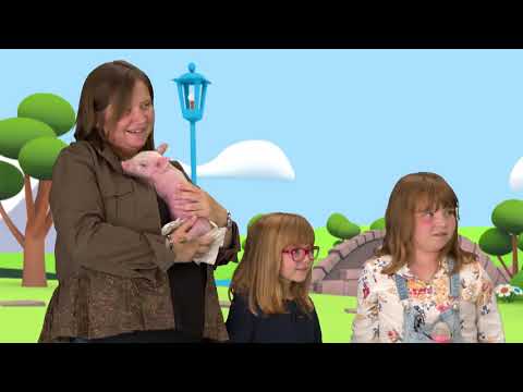 PANDAMANIA - Panda curioso - "Os meus porquinhos"