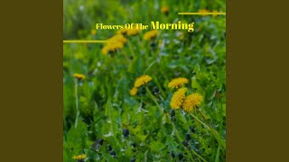 There Wasn&#39;t An Organ At Our Wedding