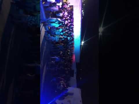 Paredão Morcegão em são Bentinho