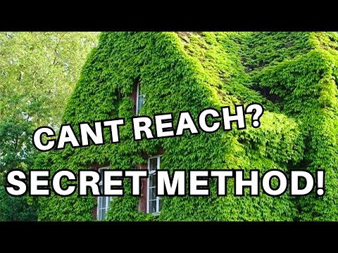 Control Pests on Virginia Creeper and Other Hard to reach Plants!