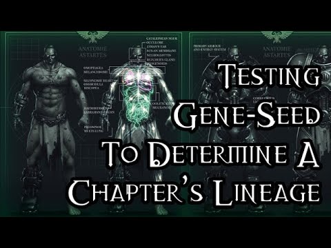 Testing Gene-Seed To Determine A Chapter’s Lineage - 40K Theories