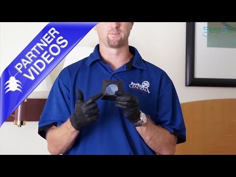  SenSci Bed Bug Volcano Directions for Use Video 