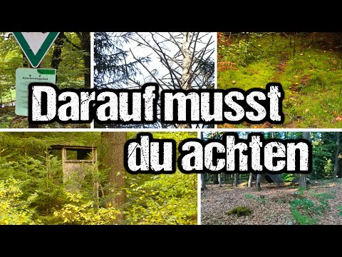 Die erste Nacht im Wald | 5 wichtige Tipps | Jäger, Wildtiere ...