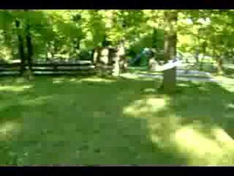 Knuffel im Lohwald II