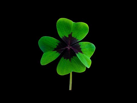 Meine Vorbereitung auf das 2. Examen