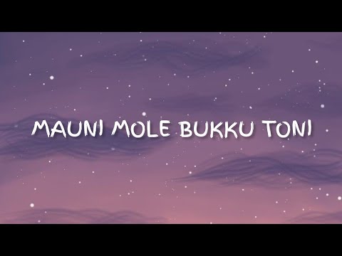 Mauni Mole Bukku Toni - Cover by. Leony Angel || Lirik Lagu Bugis || Terjemahan Indonesia