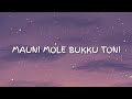 Download Lagu Mauni Mole Bukku Toni - Cover by. Leony Angel  Lirik Lagu Bugis  Terjemahan Indonesia Mp3 Free