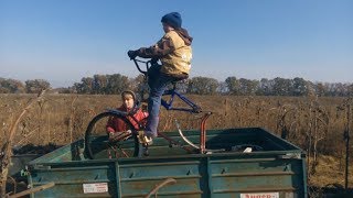 Как собирать семечки с помощью велосипеда - Видео онлайн