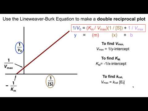 Deriving Km, Vmax, and kcat from enzyme kinetics experiments.