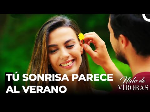 La Nuera De Mis Sueños  - Nido De Víboras