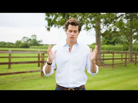 Arqana August Yearling Sale 2025