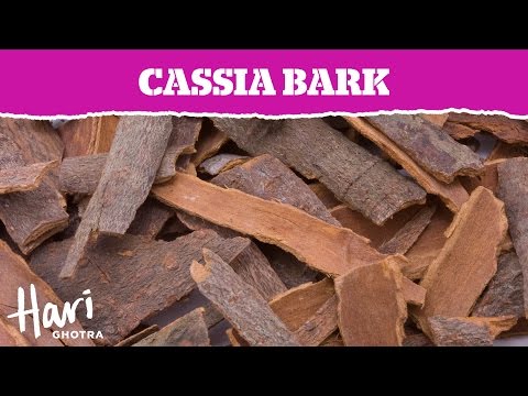 download lagu mp3 mp4 Cassia Bark, download lagu Cassia Bark gratis, unduh video klip Cassia Bark