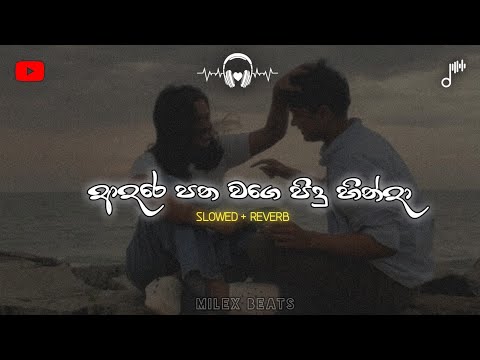 Adare Pana Wage Pidu Hinda – Slowed + Reverb 💔🔥🥺 Tiktok Viral Music 🤍🍃