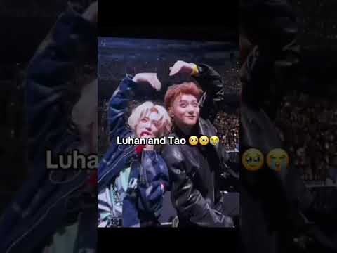 who's cutting onions 😭😭 #trending #kpop #kpopgroup #exo #tao #luhan #ot12 #ot11 #reunion #viral