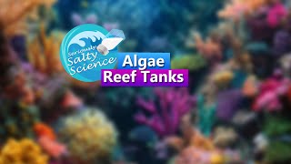 Algae and Reef Tanks - Seriously Salty Science Saltwater Reef Chat