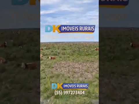 🚜 Arrendamento Rural no RS | Áreas de 200 a 4.500 Hectares 🌾