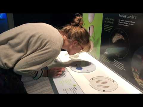 A walk-through of Te Taiao | Nature