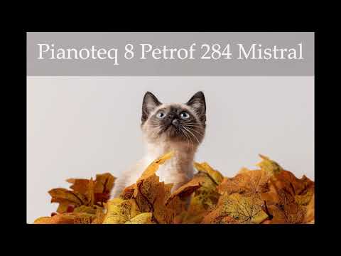 Pianoteq 8 Petrof 284 Mistral Sound Test