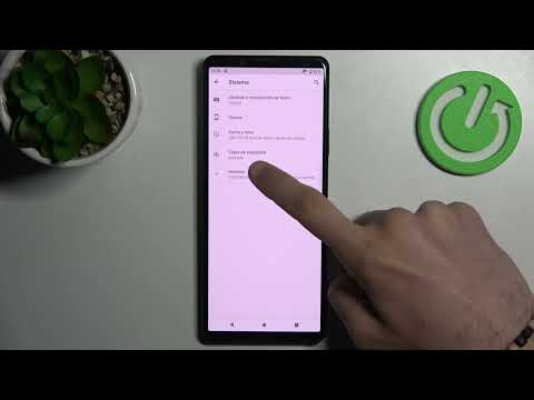 Modo Desarrollador en SONY Xperia Pro I - activa las opciones de desarrollo