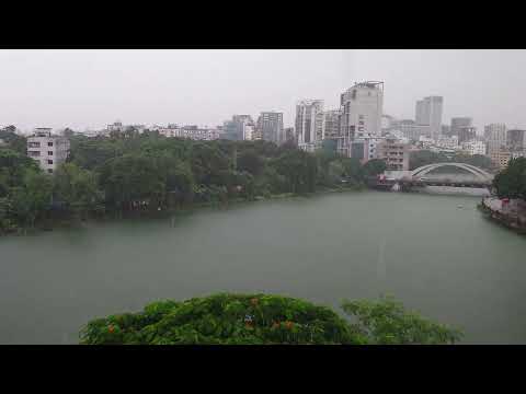 Bristy/বৃষ্টি। #videoshow #flowers #nature 