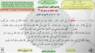 صورة شرح الجامع الكبير سنن الترمذي : باب ماجاء في التسوية بين الضرائر - الحديث 1164 || ماهر ياسين الفحل